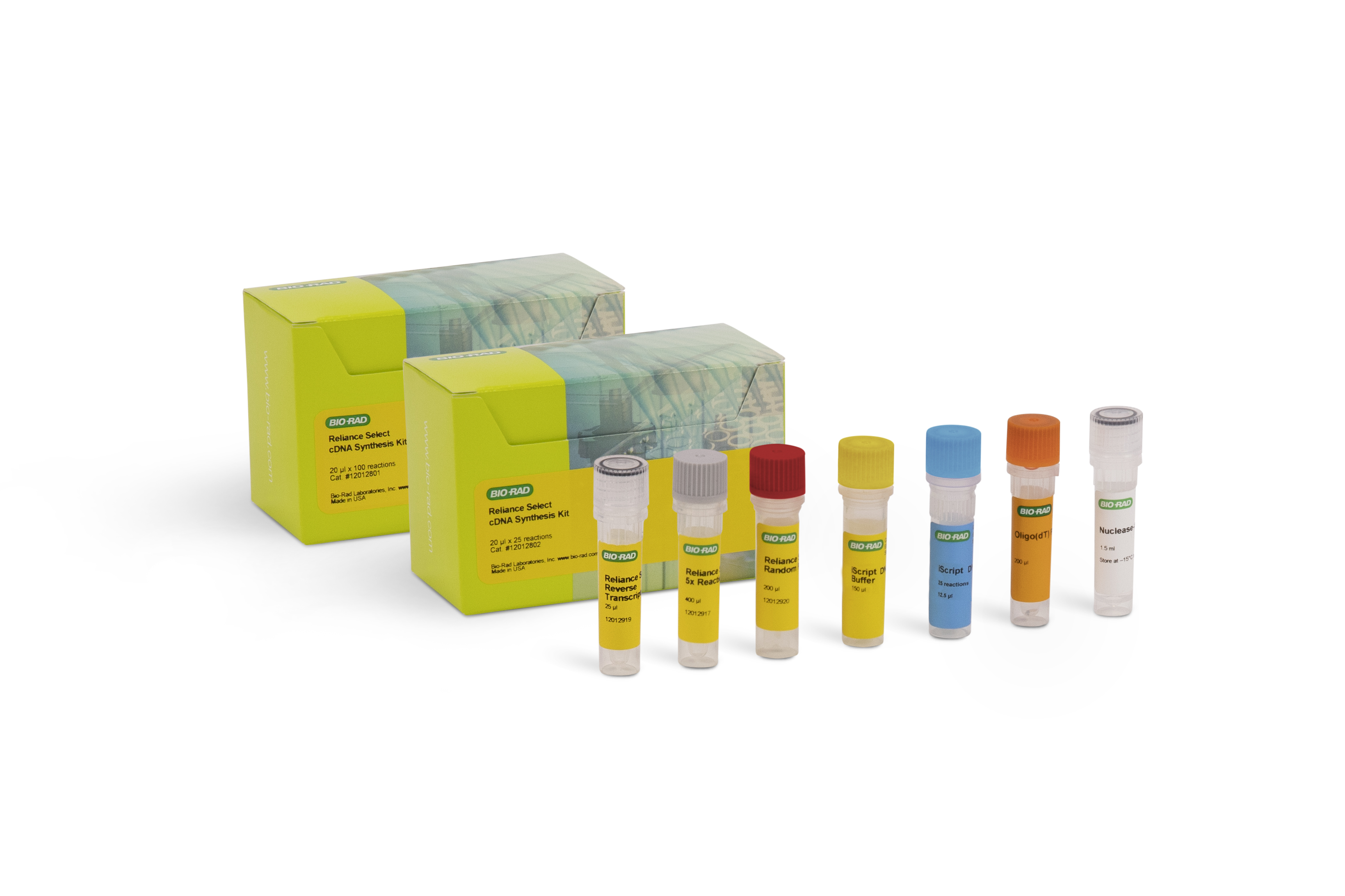 Reliance Select cDNA Synthesis Kit 
